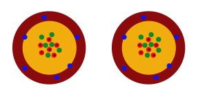 kohlenstoffisotope